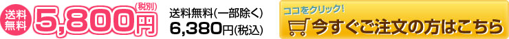 マシュマロ電報(15文字)と バルーン(ハート型) セット 送料無料